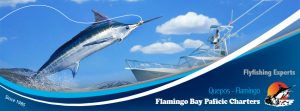 Flamingo Banner