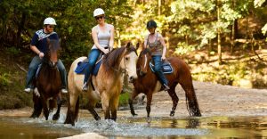 Horseback Riding