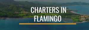 Charters In Flamingo