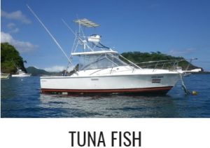 Tuna Fish Charter